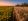 Ajloun Field Sunset